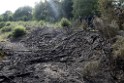 Waldbrand Koeln Hoehenhaus Hoehenfelder Mauspfad P089